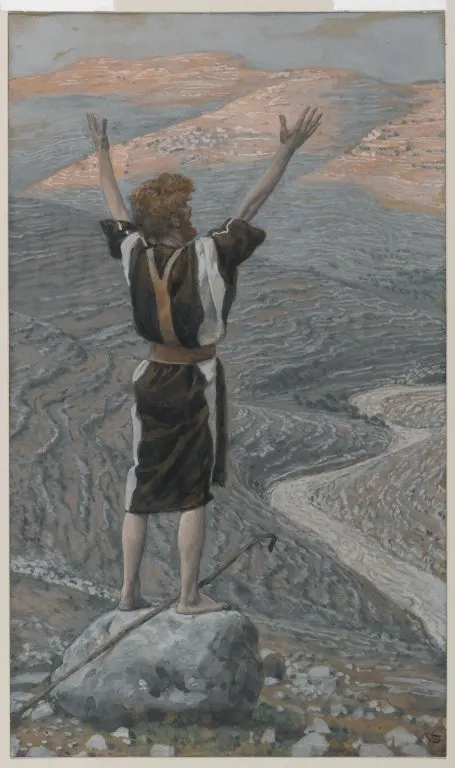 The Voice in the Desert