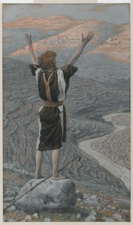 The Voice in the Desert